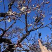 ヒメ日記 2025/03/01 17:09 投稿 ゆうあ 水戸人妻花壇