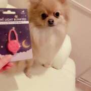 ヒメ日記 2025/04/13 15:29 投稿 りあ sweet kiss