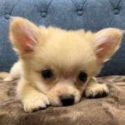 ヒメ日記 2025/06/22 03:09 投稿 りあ sweet kiss