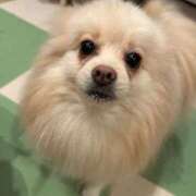 ヒメ日記 2025/10/10 08:59 投稿 りあ sweet kiss