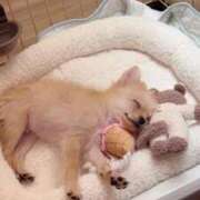 ヒメ日記 2025/10/10 18:09 投稿 りあ sweet kiss