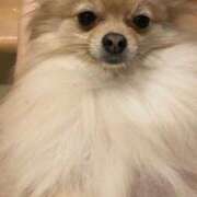 ヒメ日記 2025/10/14 16:09 投稿 りあ sweet kiss