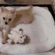 ヒメ日記 2025/10/17 12:49 投稿 りあ sweet kiss