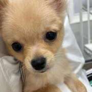 りあ 見事なリバウンド😭 sweet kiss