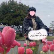 ヒメ日記 2025/04/26 10:50 投稿 ことは わちゃわちゃ密着リアルフルーちゅ西船橋