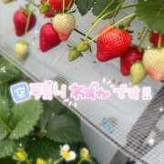 ヒメ日記 2026/03/09 12:26 投稿 ことは わちゃわちゃ密着リアルフルーちゅ西船橋