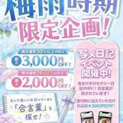 ヒメ日記 2026/06/17 15:10 投稿 ことは わちゃわちゃ密着リアルフルーちゅ西船橋