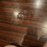 ヒメ日記 2026/03/23 14:00 投稿 まこ 逢って30秒で即尺