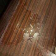 ヒメ日記 2026/04/04 12:30 投稿 まこ 逢って30秒で即尺