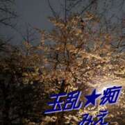 ヒメ日記 2025/04/01 21:04 投稿 みえ 玉乱☆痴（たまらんち）