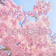 ヒメ日記 2024/04/13 01:04 投稿 ふう コレクション