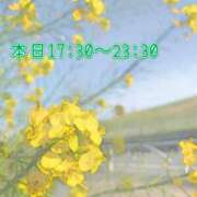 ヒメ日記 2024/04/15 12:51 投稿 ふう コレクション