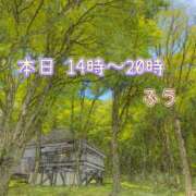 ヒメ日記 2024/05/25 11:18 投稿 ふう コレクション