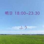 ヒメ日記 2024/06/21 00:23 投稿 ふう コレクション