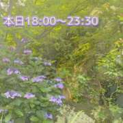 ヒメ日記 2024/07/01 16:15 投稿 ふう コレクション