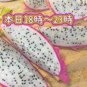 ヒメ日記 2024/07/30 16:11 投稿 ふう コレクション