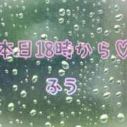 ヒメ日記 2024/08/08 16:32 投稿 ふう コレクション