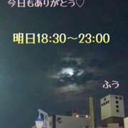 ヒメ日記 2024/08/09 02:31 投稿 ふう コレクション