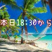 ヒメ日記 2024/08/30 17:46 投稿 ふう コレクション