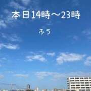 ヒメ日記 2024/11/09 12:37 投稿 ふう コレクション