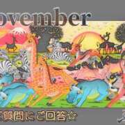 ヒメ日記 2024/11/29 16:23 投稿 ふう コレクション