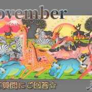 ヒメ日記 2024/11/29 16:28 投稿 ふう コレクション