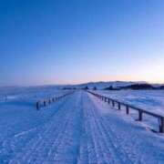 ヒメ日記 2024/12/09 13:11 投稿 ふう コレクション