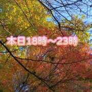 ヒメ日記 2024/12/10 17:05 投稿 ふう コレクション