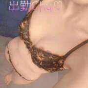 ヒメ日記 2024/12/16 17:41 投稿 ふう コレクション