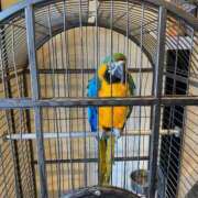 ヒメ日記 2024/12/23 09:34 投稿 ふう コレクション