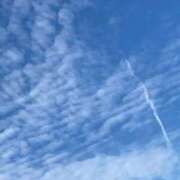 ヒメ日記 2024/12/26 22:19 投稿 ふう コレクション