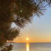 ヒメ日記 2025/01/01 16:15 投稿 ふう コレクション