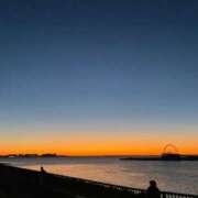 ヒメ日記 2025/01/01 16:36 投稿 ふう コレクション