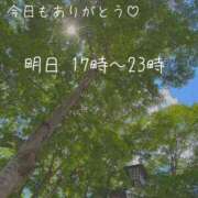 ヒメ日記 2025/01/04 22:28 投稿 ふう コレクション