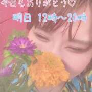 ヒメ日記 2025/01/13 01:36 投稿 ふう コレクション