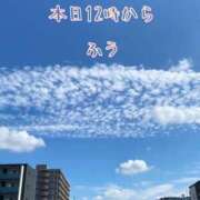 ヒメ日記 2025/01/13 10:46 投稿 ふう コレクション