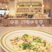 ヒメ日記 2025/01/15 15:29 投稿 ふう コレクション