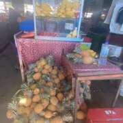 ヒメ日記 2025/01/21 16:05 投稿 ふう コレクション