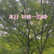 ヒメ日記 2025/01/27 16:02 投稿 ふう コレクション