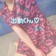 ヒメ日記 2025/01/29 17:16 投稿 ふう コレクション