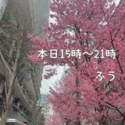 ヒメ日記 2025/03/12 13:45 投稿 ふう コレクション