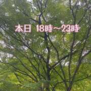 ヒメ日記 2025/03/17 17:38 投稿 ふう コレクション