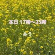 ヒメ日記 2025/04/07 12:20 投稿 ふう コレクション