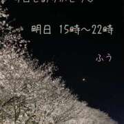 ヒメ日記 2025/04/09 00:23 投稿 ふう コレクション