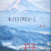 ヒメ日記 2025/04/15 15:20 投稿 ふう コレクション