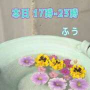 ヒメ日記 2025/04/22 15:47 投稿 ふう コレクション