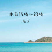 ヒメ日記 2025/04/26 13:29 投稿 ふう コレクション