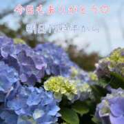 ヒメ日記 2025/06/17 00:25 投稿 ふう コレクション