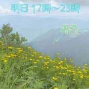 ヒメ日記 2025/07/13 23:08 投稿 ふう コレクション