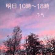 ヒメ日記 2025/07/18 23:13 投稿 ふう コレクション